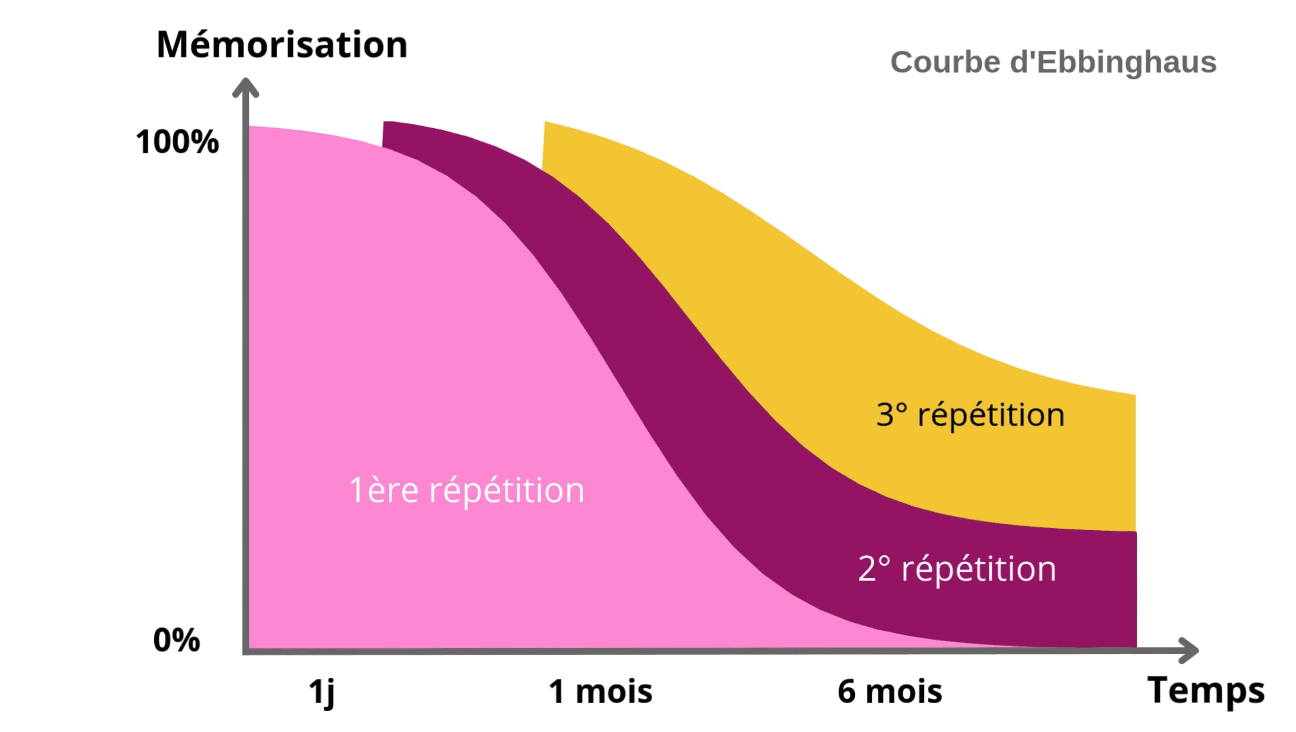 illustration des réptitions espacées