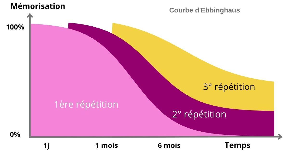 Les courbes de l'oubli