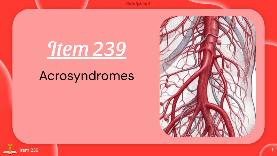 miniature de la vidéo