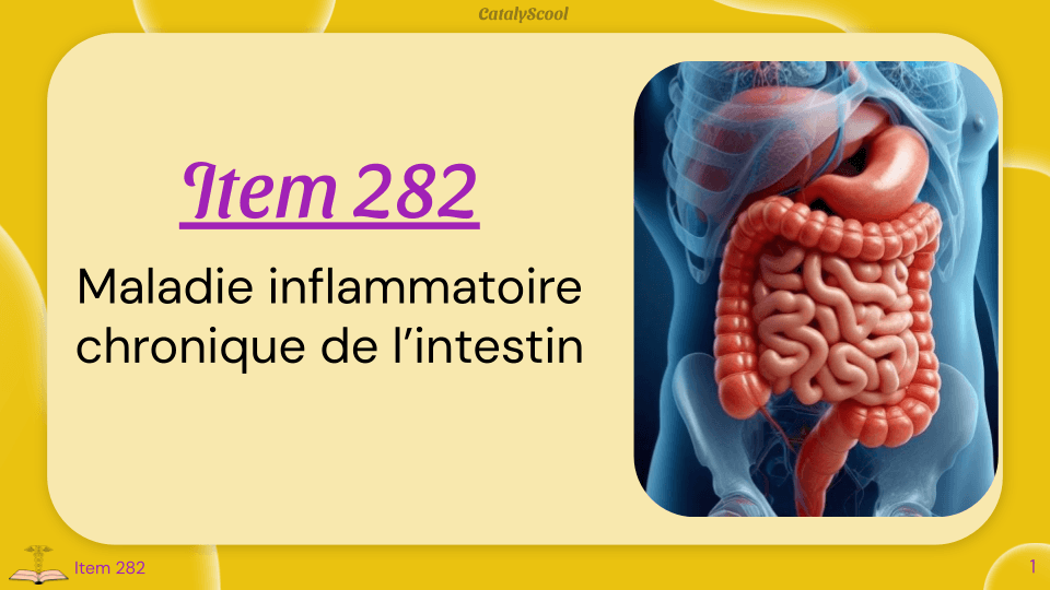 miniature du cours