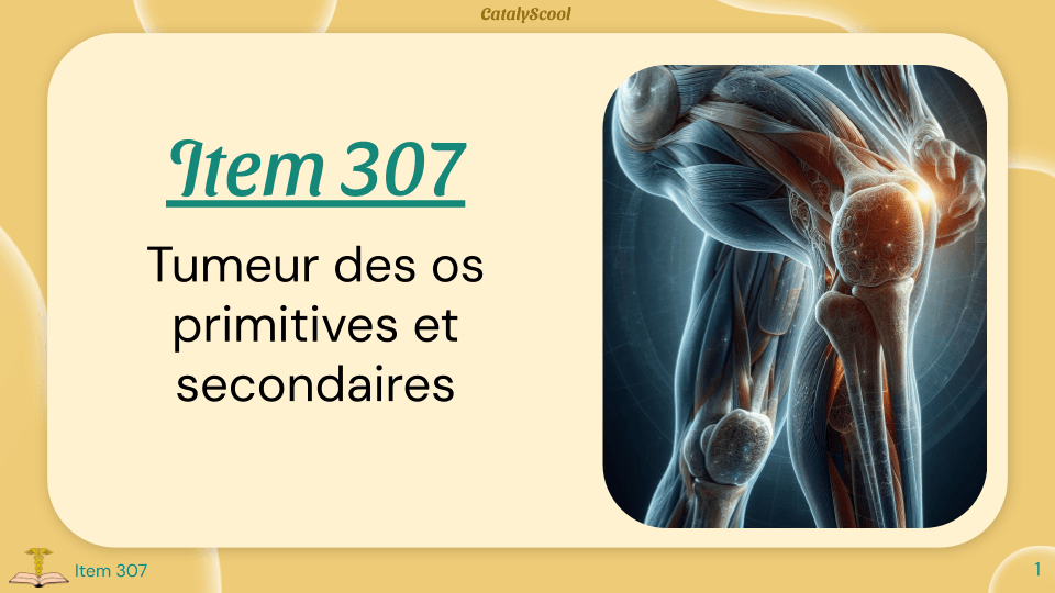 miniature du cours
