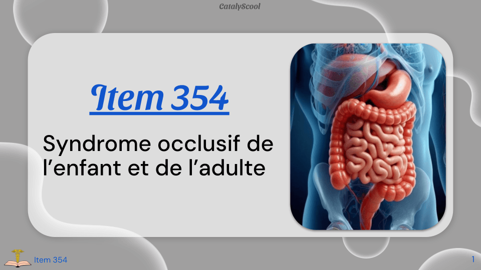 miniature du cours