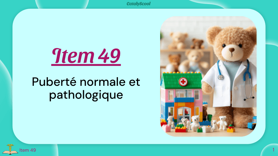 miniature du cours