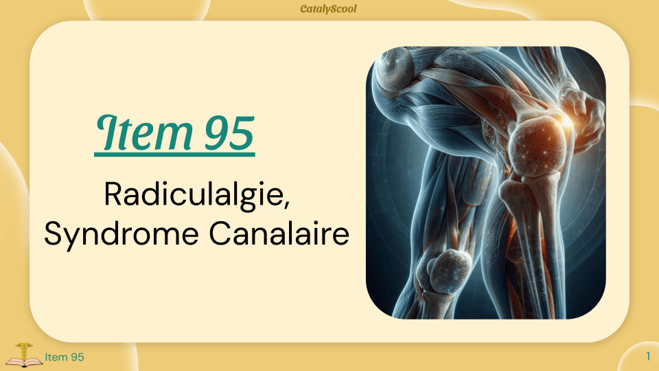 miniature de la vidéo